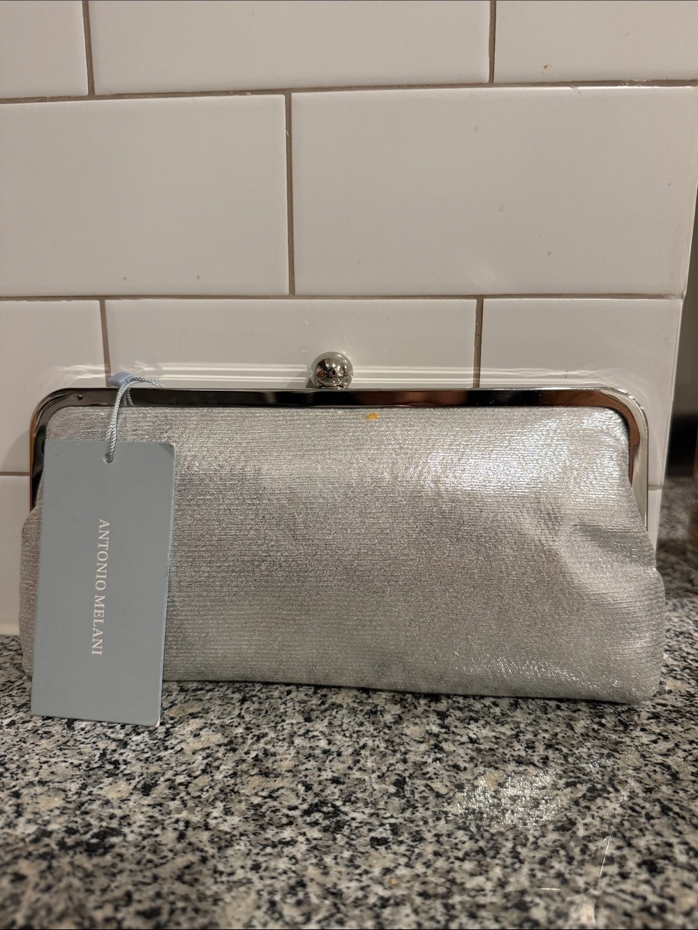 ANTONIO MELANI Silver Metallic Frame Clutch | NEW